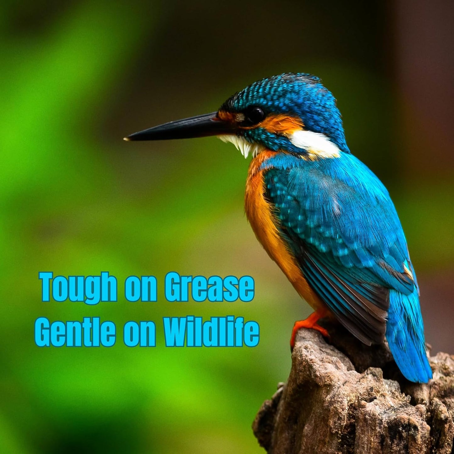 Dawn, Ultra Dishwashing Liquid, New Scent, 76 Oz Total Dish Detergent, Pack of 2-38 Oz Dish Soap Liquid, Bundle with 8x8 Inch, Let Me Help You With That - Dish Cloth